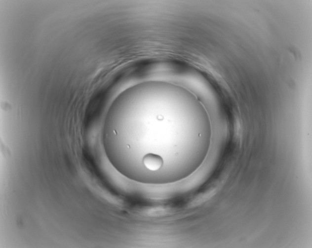 X0000091340215200708101449