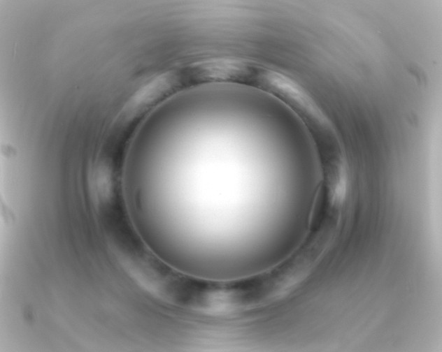 X0000091340216200708101449