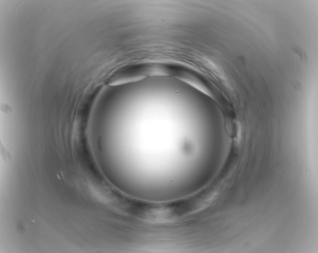 X0000091340217200708101449