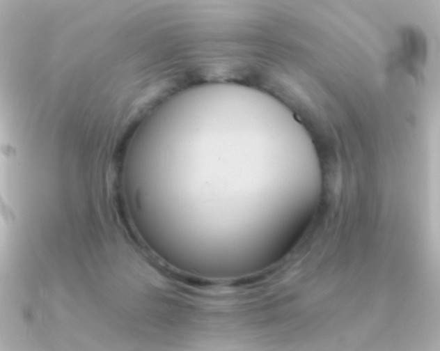 X0000091340219200708101449