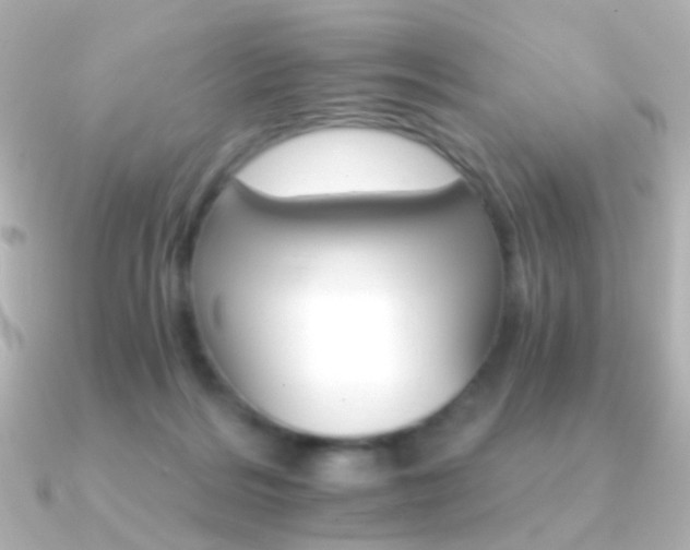 X0000091340220200708101449