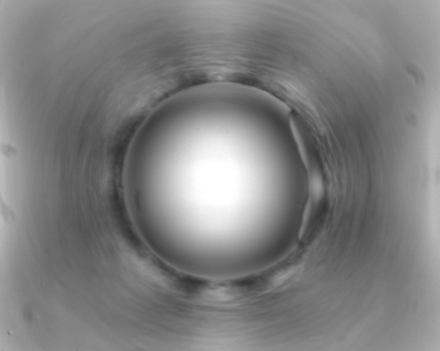 X0000091340221200708101449