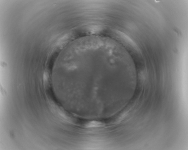 X0000091340222200708101449