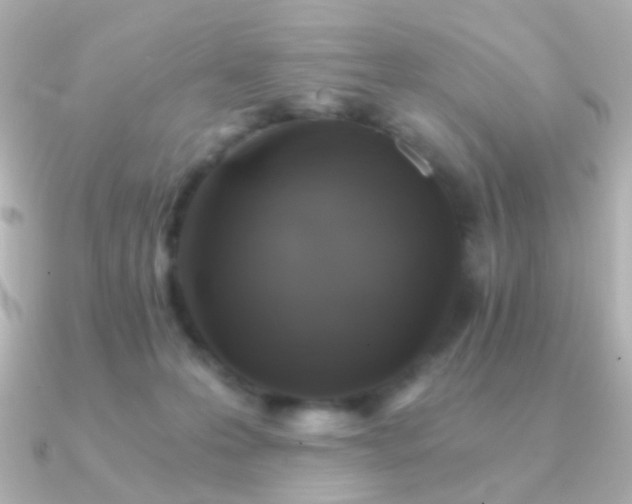 X0000091340223200708101449