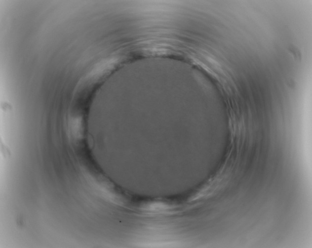 X0000091340224200708101449