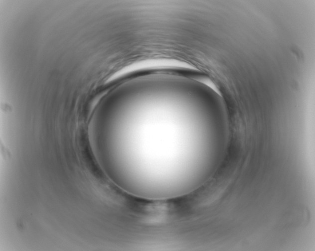 X0000091340225200708101449