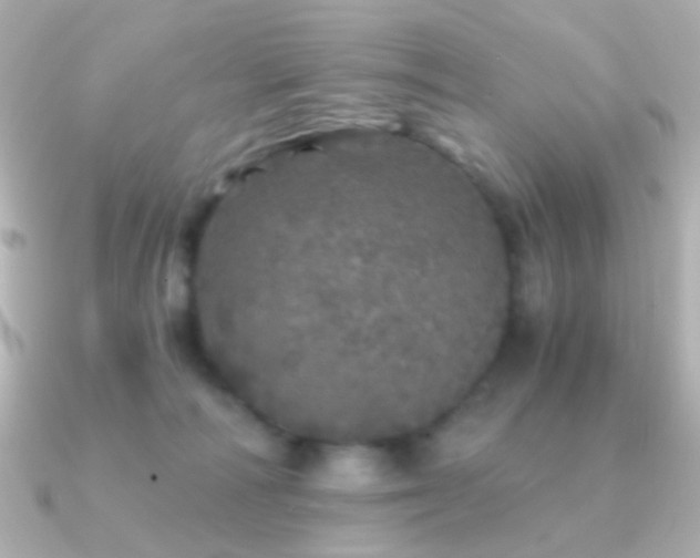 X0000091340226200708101449