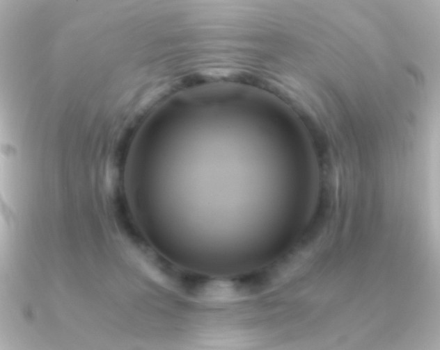 X0000091340227200708101449