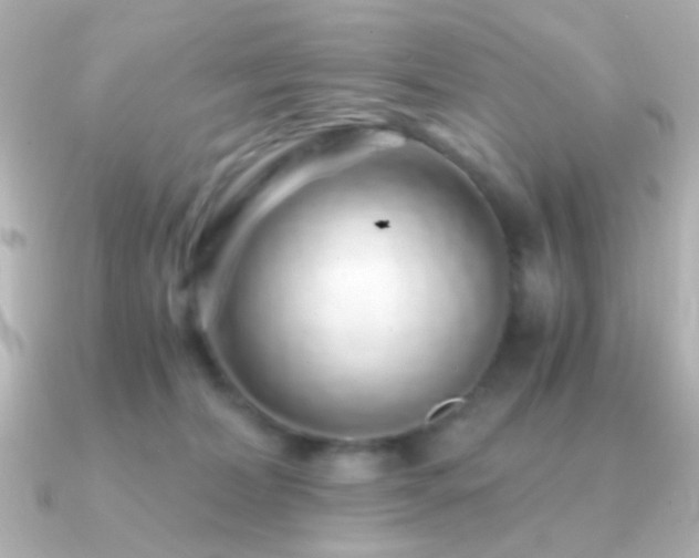 X0000091340228200708101449