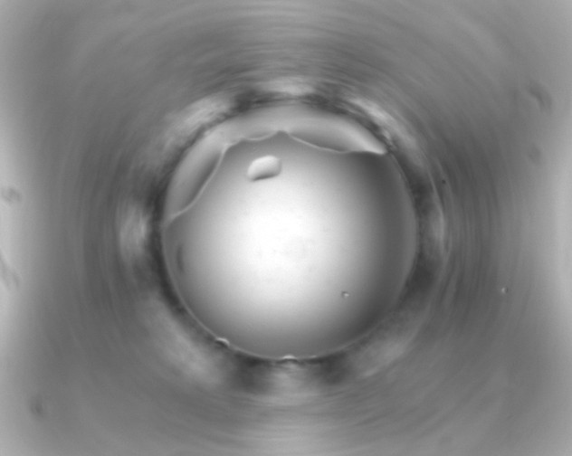 X0000091340229200708101449