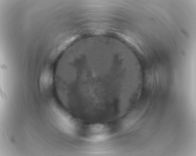 X0000091340230200708101449