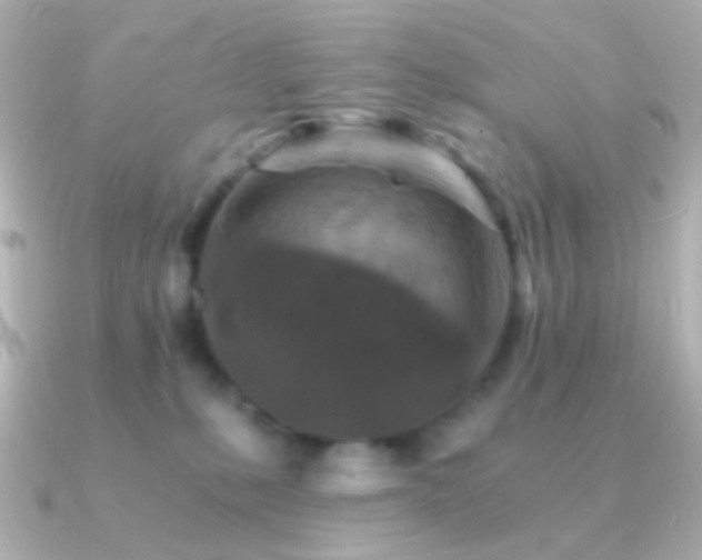 X0000091340231200708101449