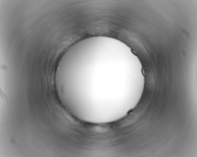 X0000091340232200708101449