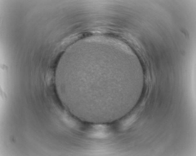 X0000091340233200708101449