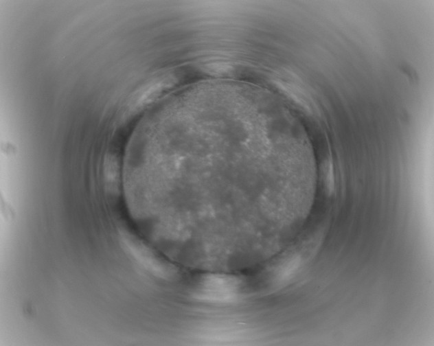 X0000091340234200708101449