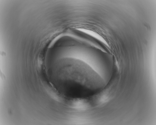 X0000091340235200708101449