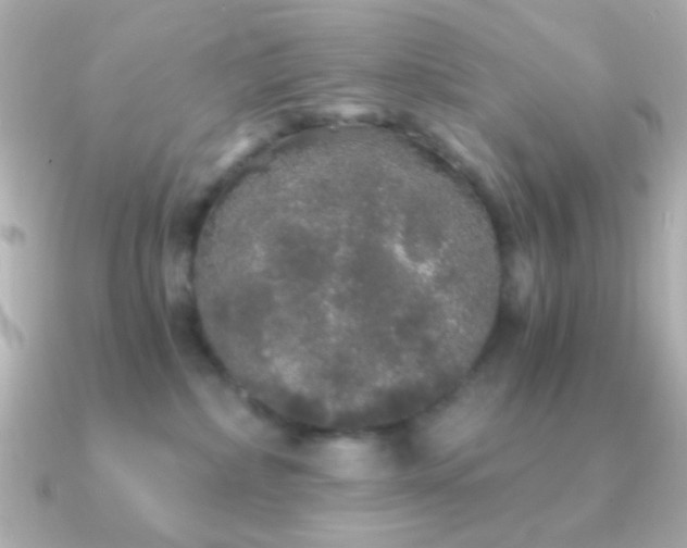 X0000091340236200708101449