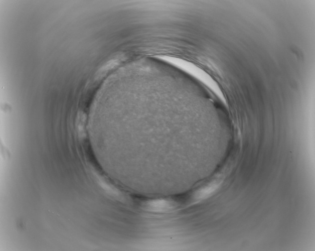 X0000091340237200708101449