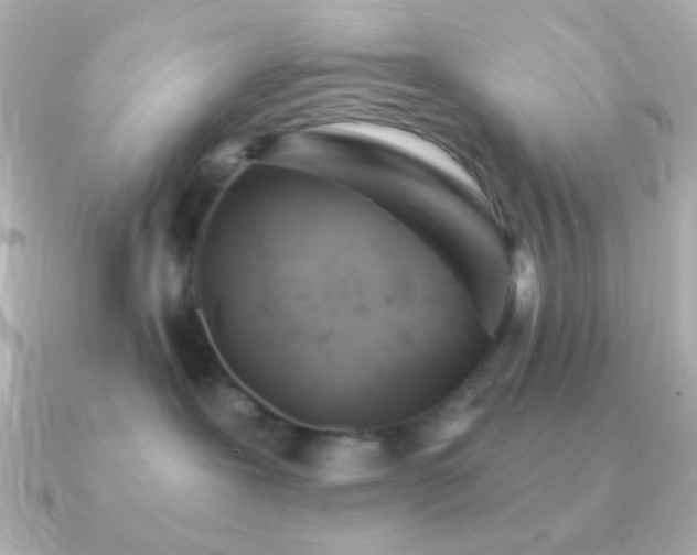 X0000091340239200708101449