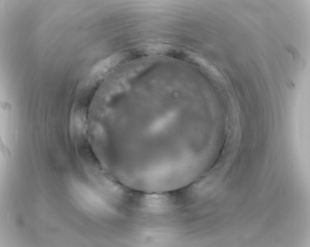 X0000091340240200708101449