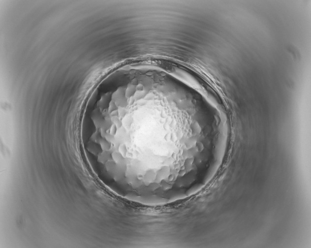 X0000091340241200708101448