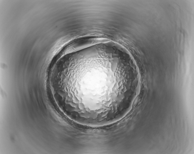 X0000091340242200708101448