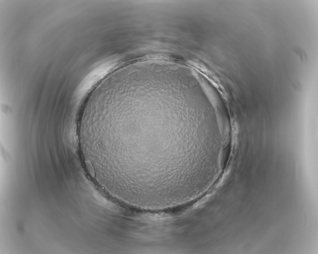 X0000091340245200708101448