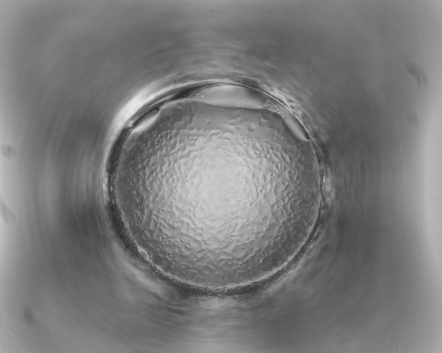 X0000091340246200708101448