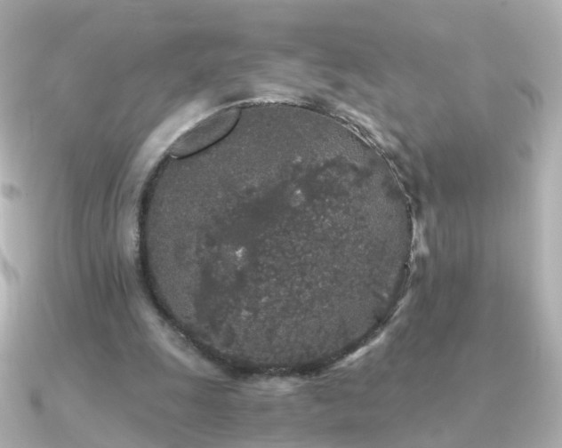 X0000091340247200708101448