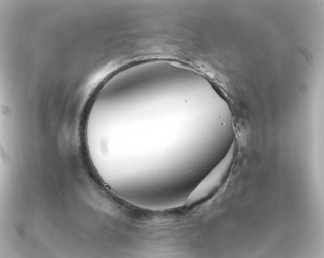 X0000091340248200708101448