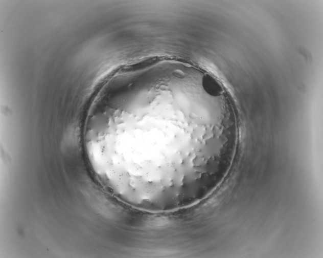 X0000091340249200708101448