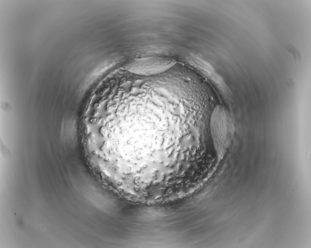 X0000091340250200708101448
