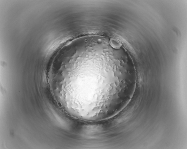 X0000091340251200708101449
