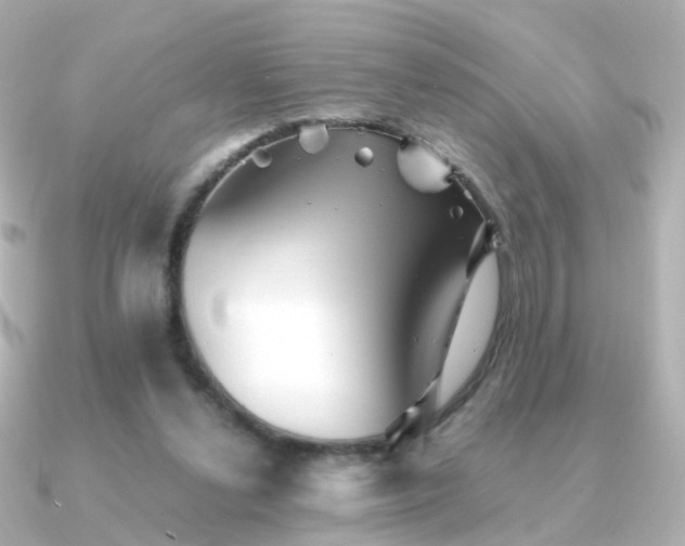 X0000091340252200708101449