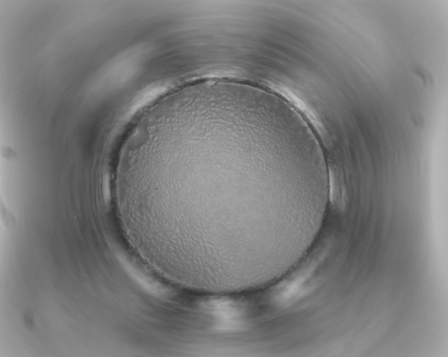 X0000091340253200708101449