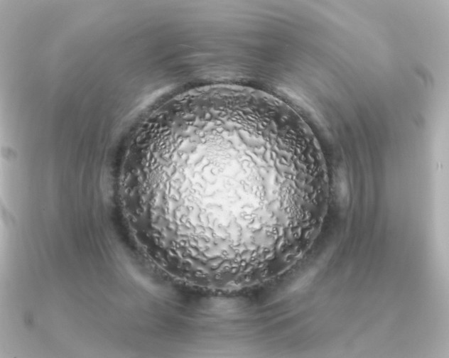 X0000091340255200708101449