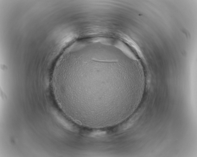 X0000091340257200708101449
