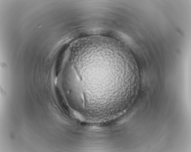 X0000091340258200708101449