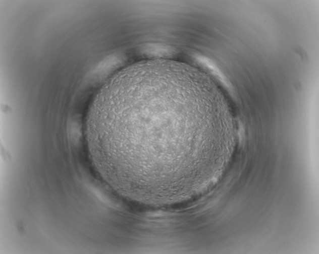 X0000091340259200708101449