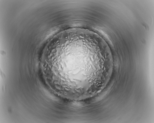X0000091340261200708101449