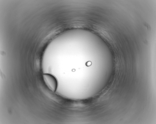 X0000091340262200708101449