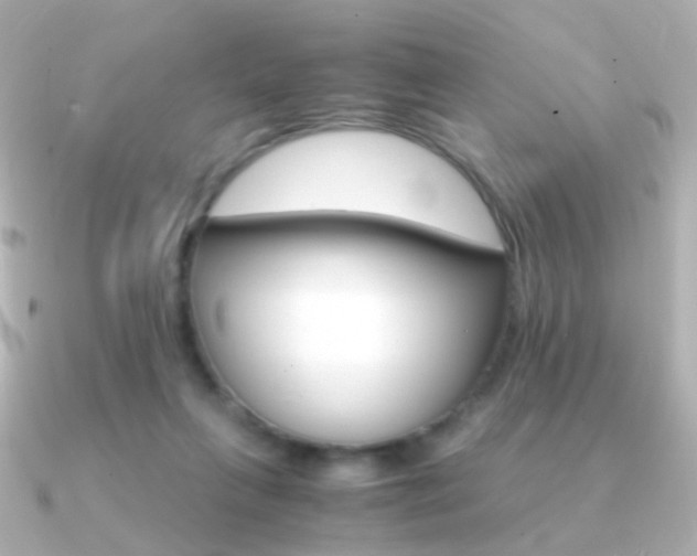 X0000091340263200708101449