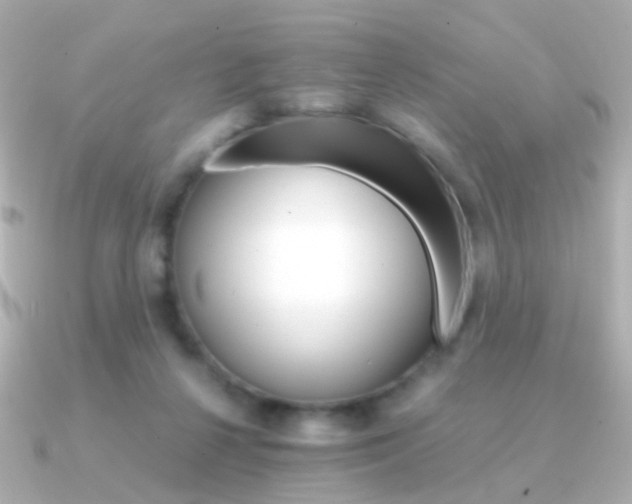 X0000091340264200708101449