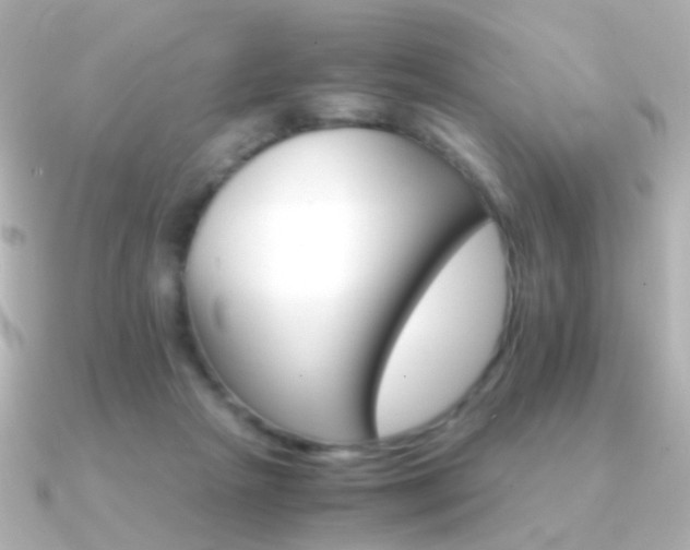 X0000091340265200708101449