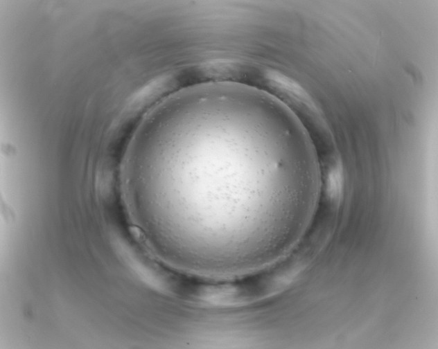 X0000091340266200708101449