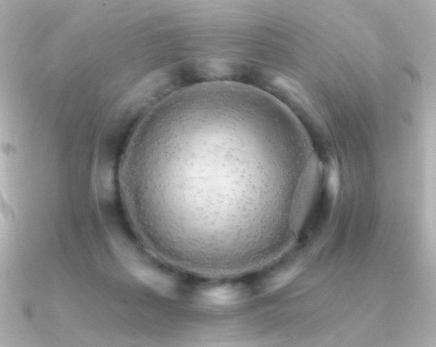 X0000091340267200708101449