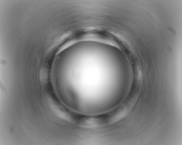 X0000091340268200708101449