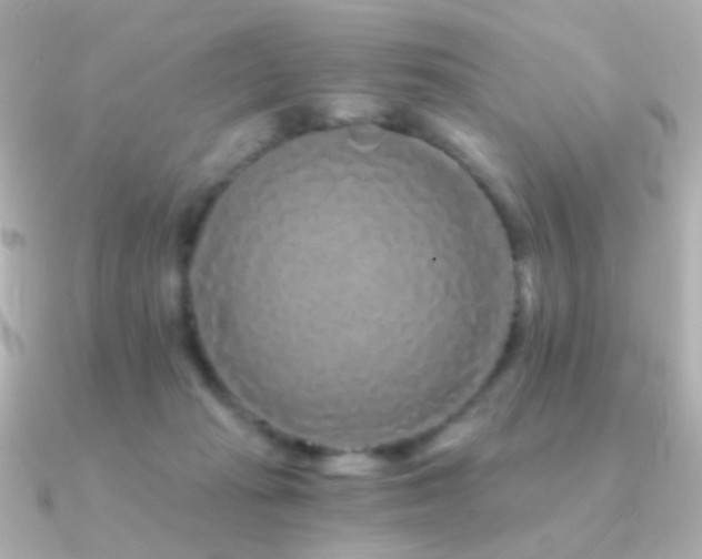 X0000091340269200708101449