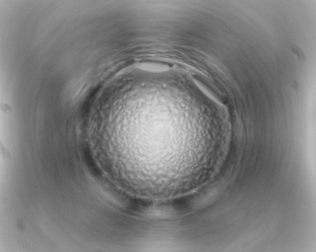 X0000091340270200708101449