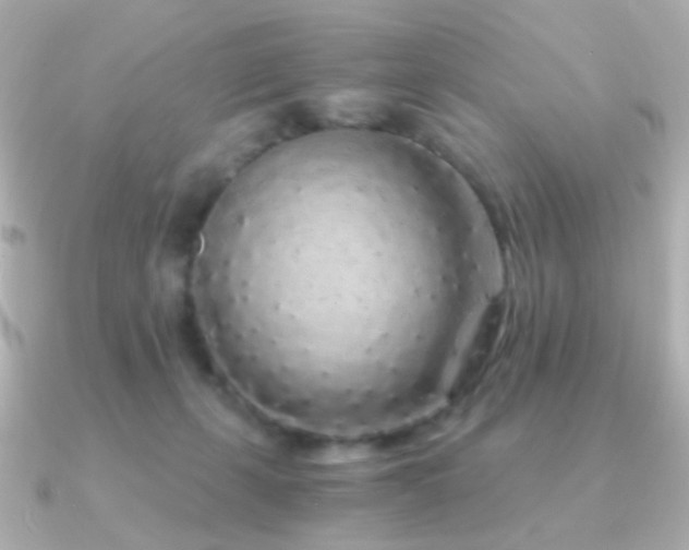 X0000091340271200708101449